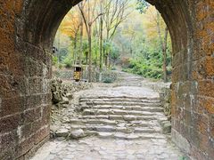 -仙霞关景区