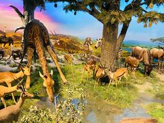 -国家自然博物馆