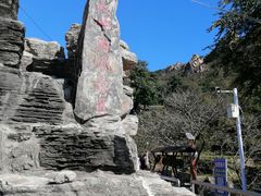 -大岭沟猕猴桃谷风景区
