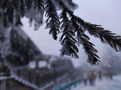 -南岳衡山风景名胜区