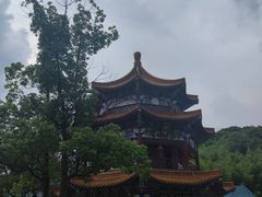 -天下玉苑