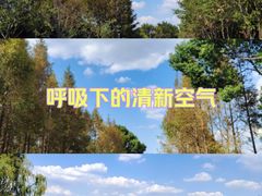 -贡湖湾湿地公园