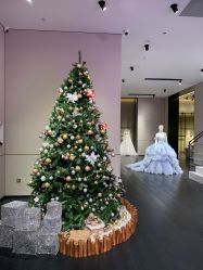 点击看大图 -MuseMarry婚纱(前海嘉里中心店)