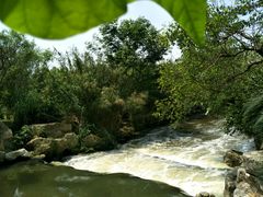 -白鹭湾湿地公园