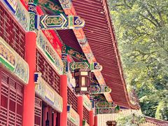 -都江堰普照寺