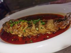 -大榕树下顺德菜(融创茂店)
