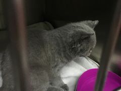 -惠康宠物医院(华能路店)