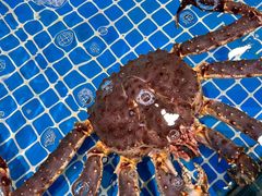 -三亚火车头万人海鲜广场