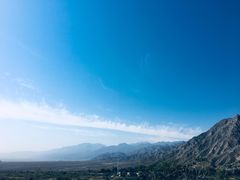 -国强手抓(西夏区店)