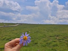 -芦芽山旅游度假区