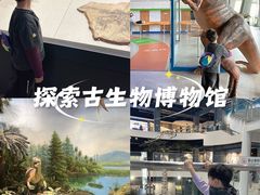 -辽宁古生物博物馆