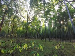 -同里国家湿地公园