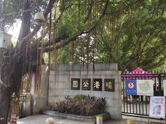 -晓港公园