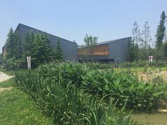 -田园东方蜜桃村的田野营地