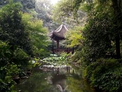 android_upload_pic-东航云逸酒店(九溪烟树店)