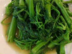 -曾牛肉