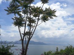 -抚仙湖禄充风景区