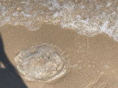 -碧海银沙景区