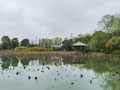 -苏州太湖国家湿地公园