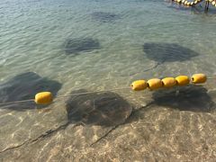 -三亚西岛海洋文化旅游区