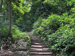 -青城山