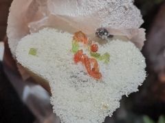 -锦记糕点铺