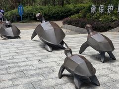 -广东惠东海龟国家级自然保护区
