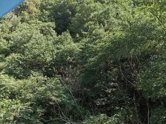 -京东石林峡风景区
