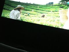 -金逸影城(大悦城IMAX激光店)
