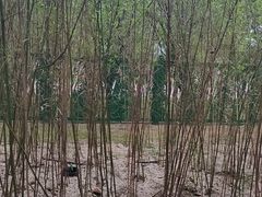 -秦皇岛野生动物园