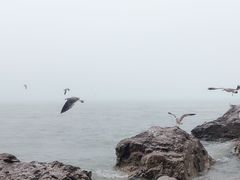 -海驴岛(荣成市)
