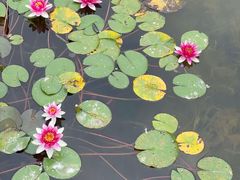 -白鹭湾湿地公园