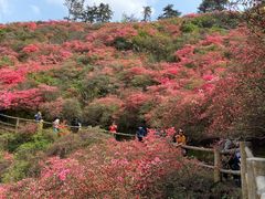 -木兰云雾山