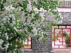 -宣武艺园