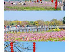 -海珠湖公园