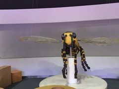 -陕西自然博物馆