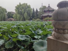 -莲池书院博物馆