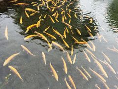 -丽江玉水寨