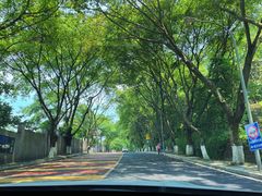 -南山植物园