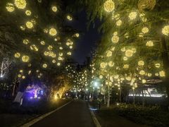 -春兰国宾馆(凤城河风景区老街店)