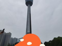 -陕西自然博物馆