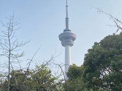 -南通濠河风景名胜区