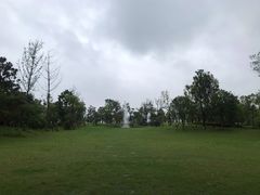 -九龙湖公园