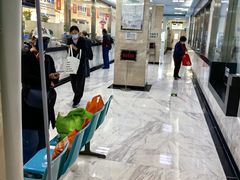 -北京市中关村医院