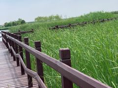 -西青郊野公园