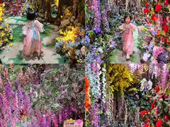 -正佳雨林生态植物园