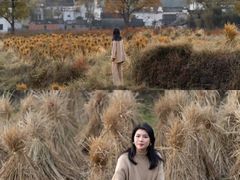 -塔川景区