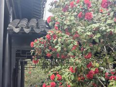 -木渎古镇