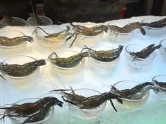 -半岛翡丽海鲜自助餐厅(观风亭店)