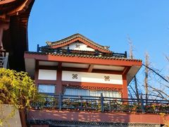 -楼外楼(西湖景区孤山路店)